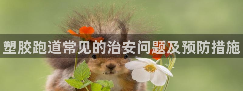 凯时kb88·中国官方网站：塑胶跑道常见的治安问题及预防措施