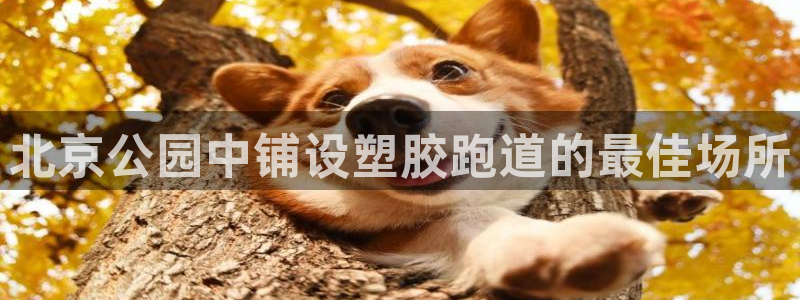 尊龙会：北京公园中铺设塑胶跑道的最佳场所