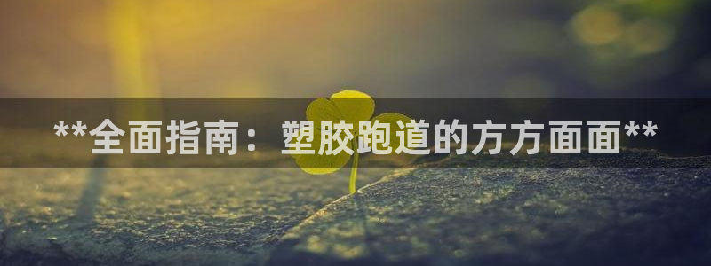 尊龙凯时网娱乐官网：**全面指南：塑胶跑道的方方面面**