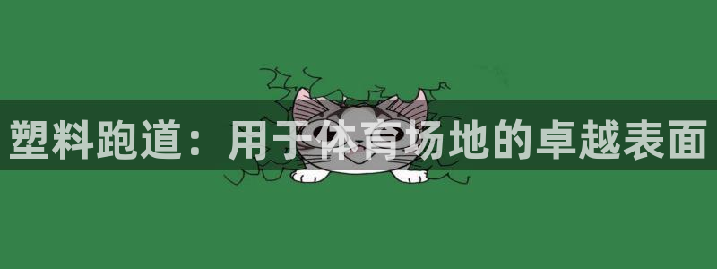 尊龙人生就是博旧：塑料跑道：用于体育场地的卓越表面