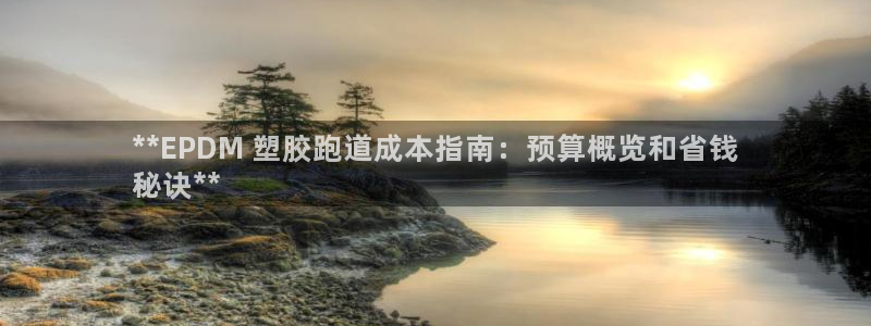 尊龙凯时的钱能退回来吗：**EPDM 塑胶跑道成本指南：预算概览和省钱
秘诀**