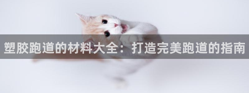 凯时游戏app：塑胶跑道的材料大全：打造完美跑道的指南
