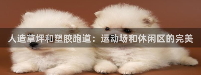 Ag尊龙平台：人造草坪和塑胶跑道：运动场和休闲区的完美
