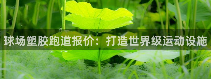 尊龙官网首页：球场塑胶跑道报价：打造世界级运动设施