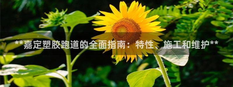 尊龙凯时有假么：**嘉定塑胶跑道的全面指南：特性、施工和维护**