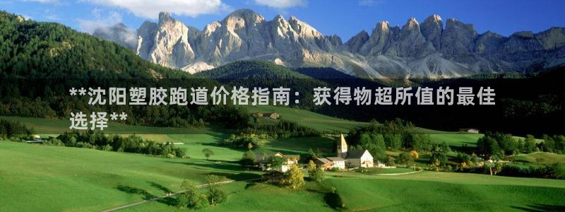 尊龙凯时-人生就是博中国官网首页：**沈阳塑胶跑道价格指南：获得物超所值的最佳
选择**