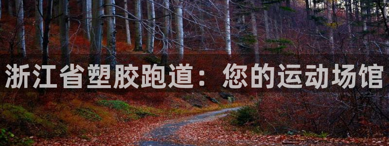 尊龙旗舰店：浙江省塑胶跑道：您的运动场馆