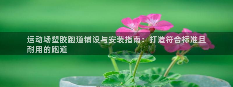 尊龙人生就是博客服：运动场塑胶跑道铺设与安装指南：打