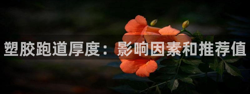 尊龙尊龙：塑胶跑道厚度：影响因素和推荐值