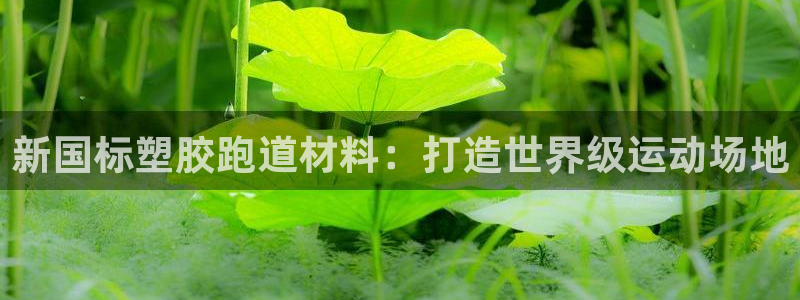 尊龙凯时不朽情缘：新国标塑胶跑道材料：打造世界级运动场地