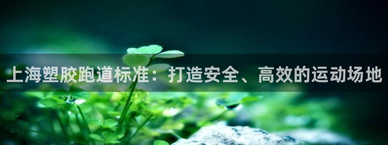 尊龙用现金娱乐一下下载旧：上海塑胶跑道标准：打造安全、高效的运动场地