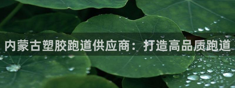 尊龙官方网站首页：内蒙古塑胶跑道供应商：打造高品质跑道