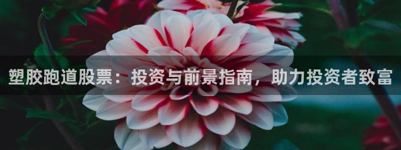尊龙凯时app产品介绍：塑胶跑道股票：投资与前景指南