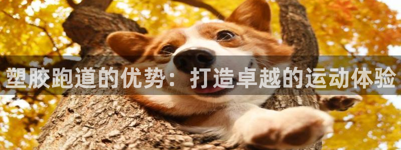 尊龙网址是选访问zd207：塑胶跑道的优势：打造卓越的运动体验