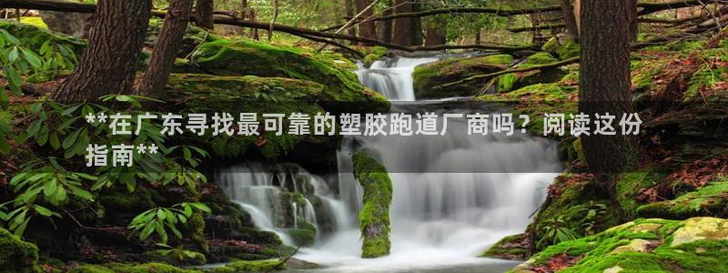 z6尊龙z6