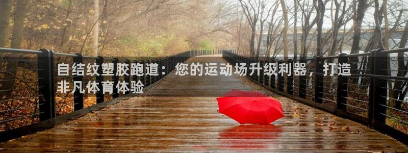 d88尊龙手机登录下载：自结纹塑胶跑道：您的运动场升级利器，打造
非凡体育体验