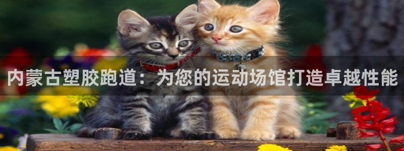 尊龙,人生就是博!登录国际：内蒙古塑胶跑道：为您的运动场馆打造卓越性能