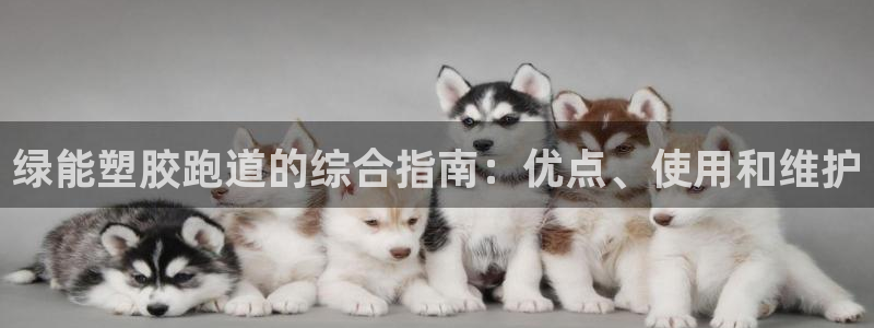 尊龙凯时麻将胡了：绿能塑胶跑道的综合指南：优点、使用和维护