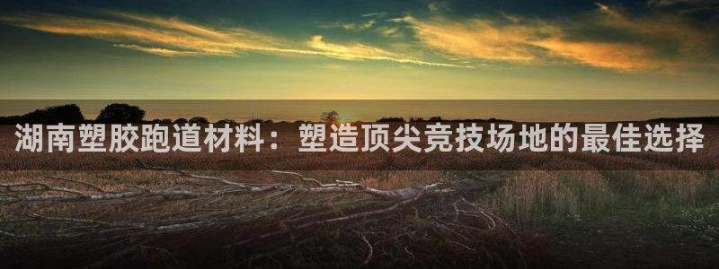 尊龙平台登录：湖南塑胶跑道材料：塑造顶尖竞技场地的最佳选择