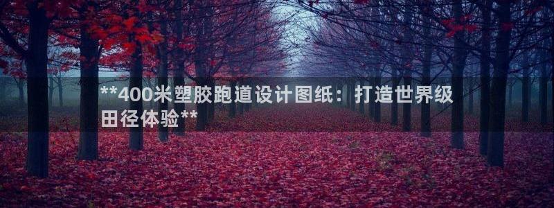 尊龙网址是选访问zd207：**400米塑胶跑道设计图纸：打造世界级
田径体验**