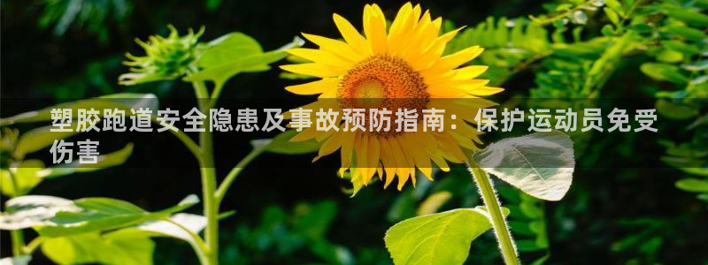 尊龙凯时怎么注册：塑胶跑道安全隐患及事故预防指南：保