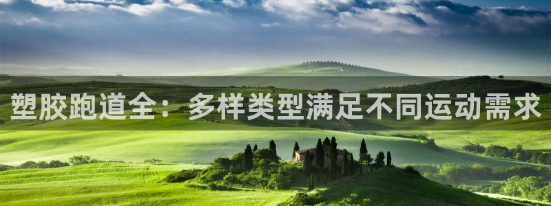 尊龙官网/首选kpm：塑胶跑道全：多样类型满足不同运动需求