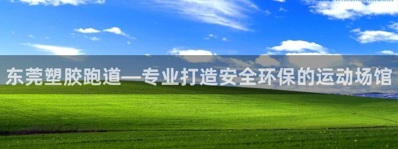 尊龙集团有限公司是国企吗：东莞塑胶跑道—专业打造安全环保的运动场馆