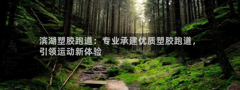 尊龙凯时的企业文化：滨湖塑胶跑道：专业承建优质塑胶跑道，
引领运动新体验