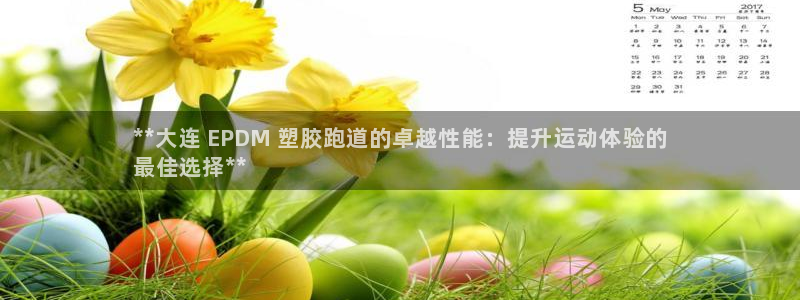 尊龙官网免费下载安卓：**大连 EPDM 塑胶跑道的卓越性能：提升运动体验的
最佳选择**