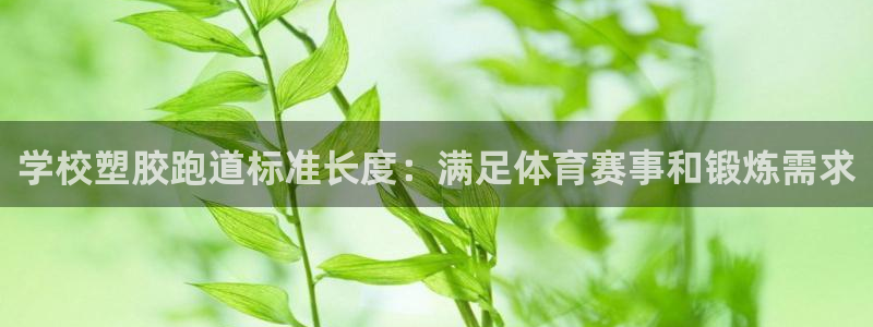尊龙凯时这个平台怎么样：学校塑胶跑道标准长度：满足体育赛事和锻炼需求