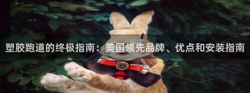 尊龙凯时官方下载：塑胶跑道的终极指南：美国领先品牌、优点和安装指南