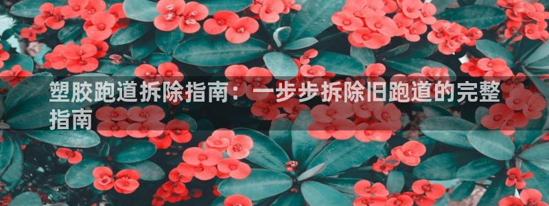 ag尊龙凯时俱乐部：塑胶跑道拆除指南：一步步拆除旧跑道的完整
指南