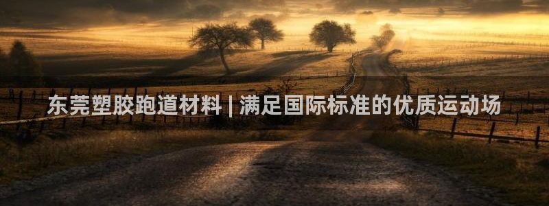 尊龙凯时ag旗舰厅官：东莞塑胶跑道材料 | 满足国际标准的优质运动场
