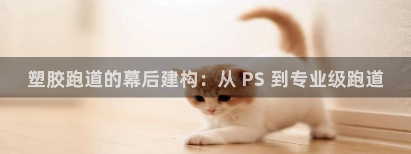 尊龙app登录不了：塑胶跑道的幕后建构：从 PS 到专业级跑道