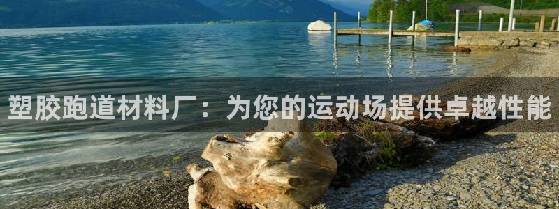 尊龙人生就是博d88官方网站：塑胶跑道材料厂：为您的运动场提供卓越性能
