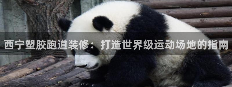 尊龙人生就是博网站：西宁塑胶跑道装修：打造世界级运动