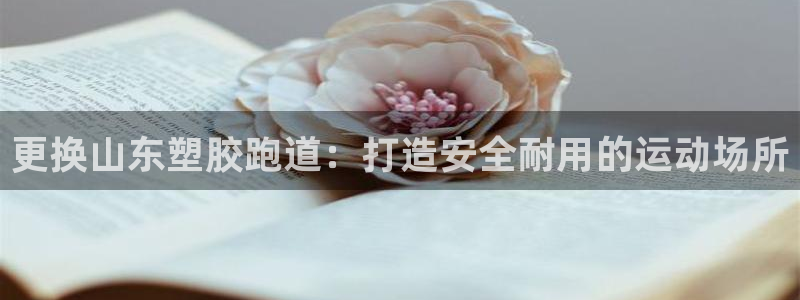 尊龙ag旗舰厅下载：更换山东塑胶跑道：打造安全耐用的运动场所