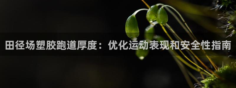 凯时尊龙app国际官方网站：田径场塑胶跑道厚度：优化