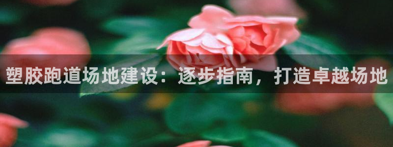 尊龙凯时用户名m：塑胶跑道场地建设：逐步指南，打造卓越场地