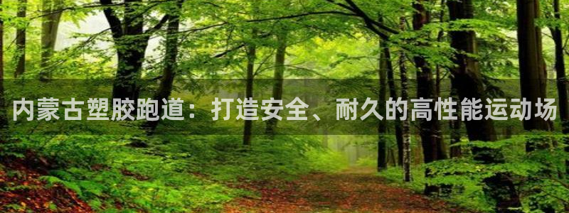 尊龙凯时白家乐：内蒙古塑胶跑道：打造安全、耐久的高性能运动场