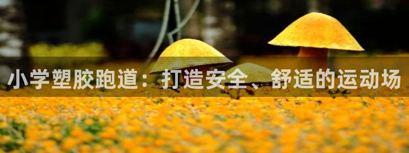 尊龙官网注册：小学塑胶跑道：打造安全、舒适的运动场