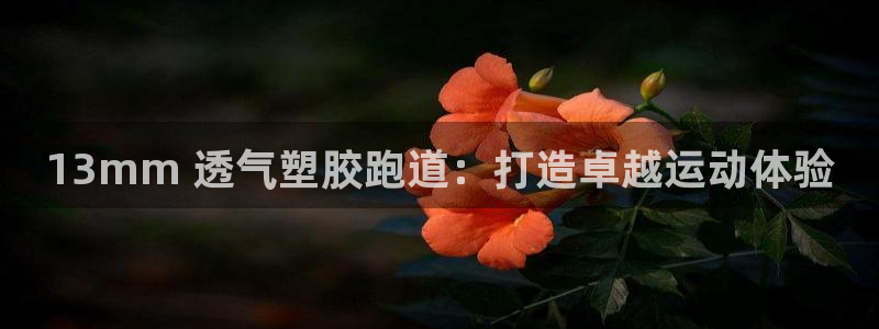 尊龙注册码：13mm 透气塑胶跑道：打造卓越运动体验