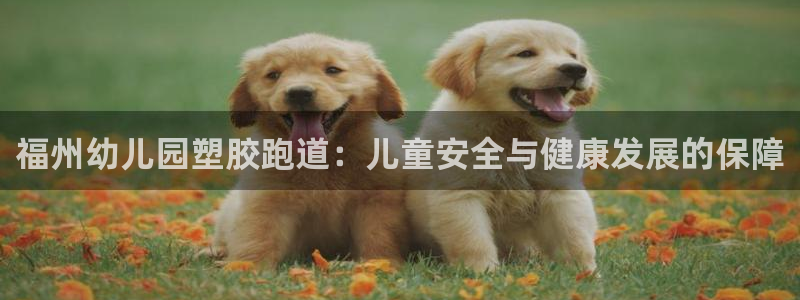 尊龙凯时登录：福州幼儿园塑胶跑道：儿童安全与健康发展