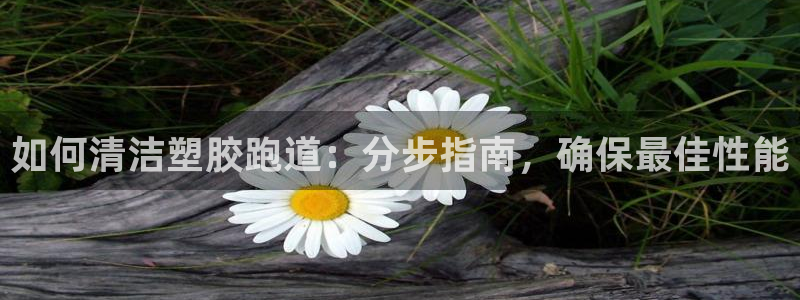 尊龙娱官网赢来就送38：如何清洁塑胶跑道：分步指南，确保最佳性能