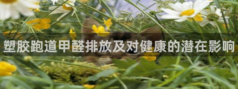 凯时首页地址：塑胶跑道甲醛排放及对健康的潜在影响