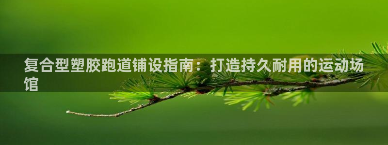 凯时kb88会员登录：复合型塑胶跑道铺设指南：打造持久耐用的运动场
馆