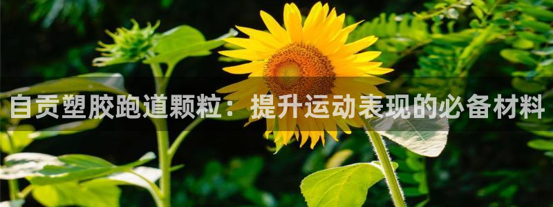 凯时官网：自贡塑胶跑道颗粒：提升运动表现的必备材料
