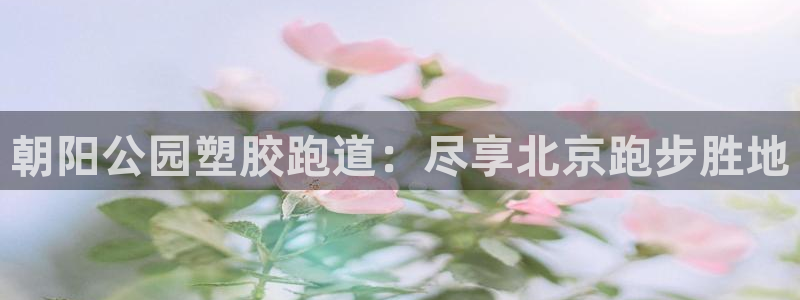 尊龙2021年最新消息：朝阳公园塑胶跑道：尽享北京跑步胜地