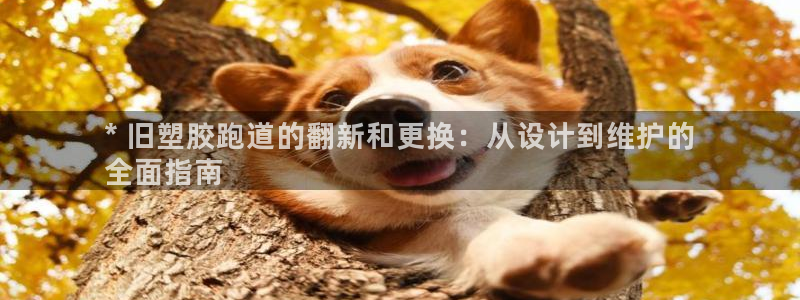 尊龙体育直接访问agbaofu.wang|ag暴富网：* 旧塑胶跑道的翻新和更换：从设计到维护的
全面指南