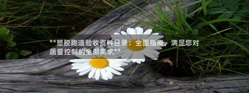 尊龙凯时人生就是搏客户：**塑胶跑道验收资料目录：全面指南，满足您对
质量控制的全部需求**